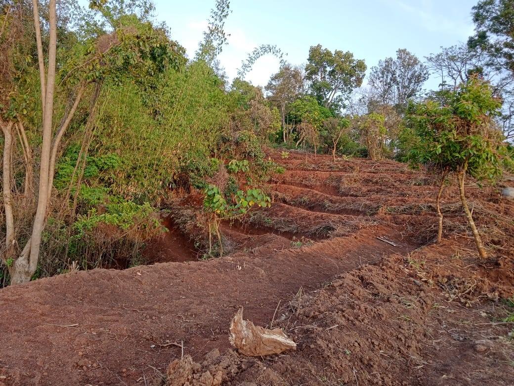 D:\CLLMP WORK\Pictures of work\Mawpun\Bench terracing After.jpg